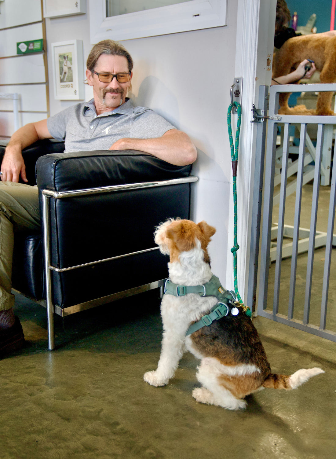 Charting a New Course: An Interview with Ebike Cargo Founder Brian Hoffman