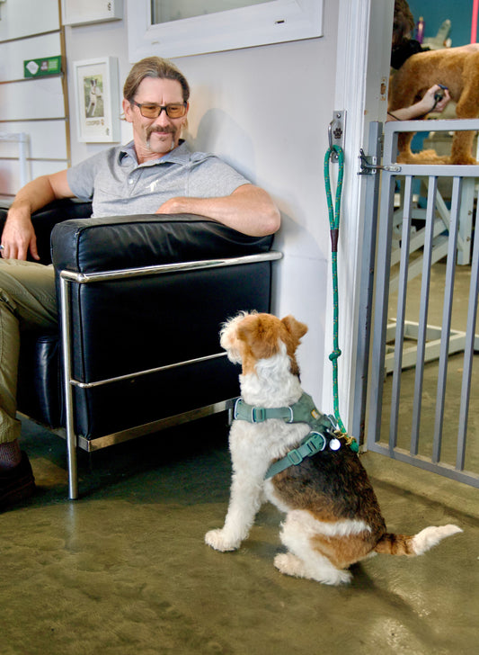 Charting a New Course: An Interview with Ebike Cargo Founder Brian Hoffman